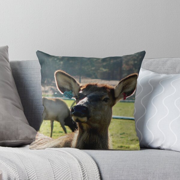 Aperçu de l'œuvre Cow Elk #890 créée et vendue par Chuck Gardner.