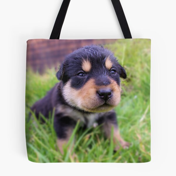 Item preview, Big Al designed and sold by Daniel Fitzgerald.