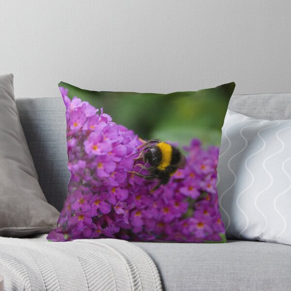 Item preview, I wonder why he does? designed and sold by Darren Wright.