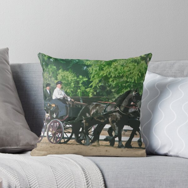 Item preview, Stylized photo of a woman driving an Andalusian horse-drawn carriage in dressage competition at Del Mar Horsepark in Del Mar, CA US. designed and sold by NaturaLight.