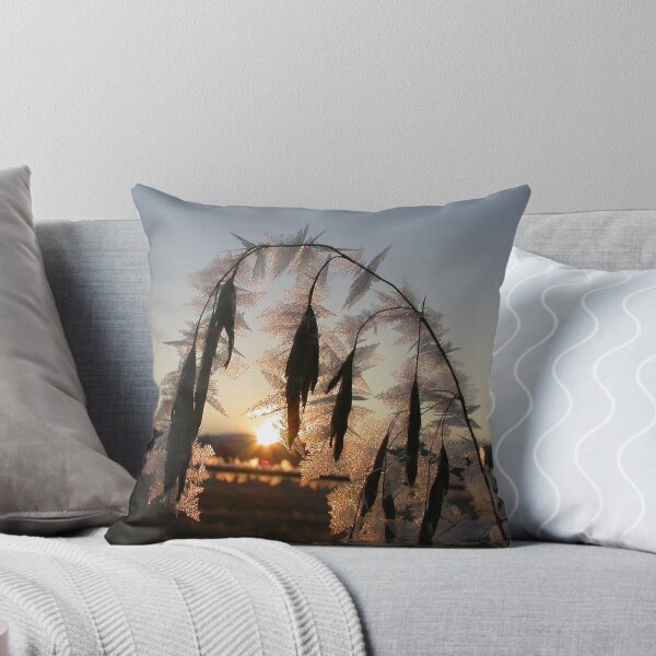 Item preview, Frosted Cheatgrass designed and sold by dougf.