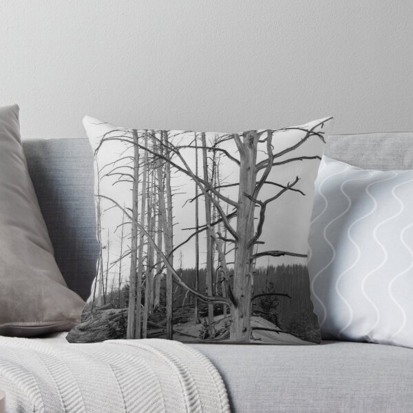 After the Fire Throw Pillow