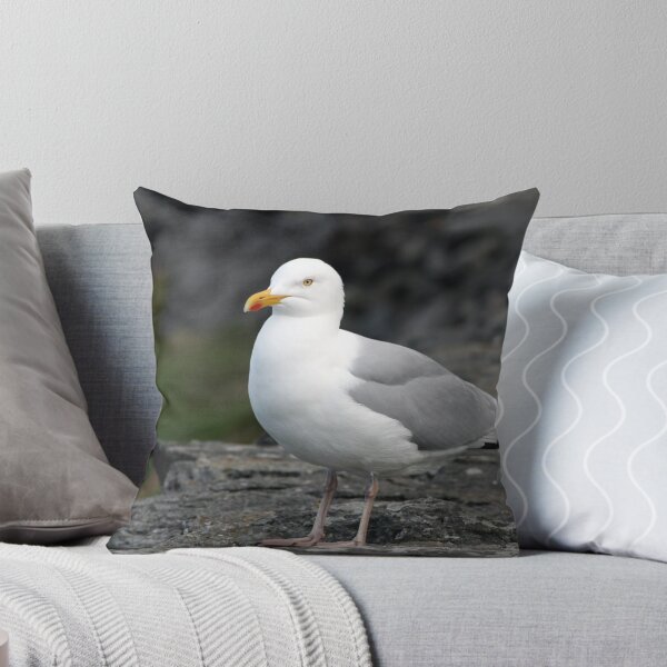 Item preview, Seagull at Slea Head designed and sold by John Quinn.