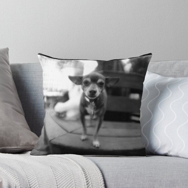 Item preview, chihuahua designed and sold by mike schreiber.