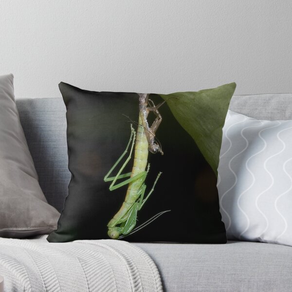 Item preview, Transition designed and sold by Steve Woodman.