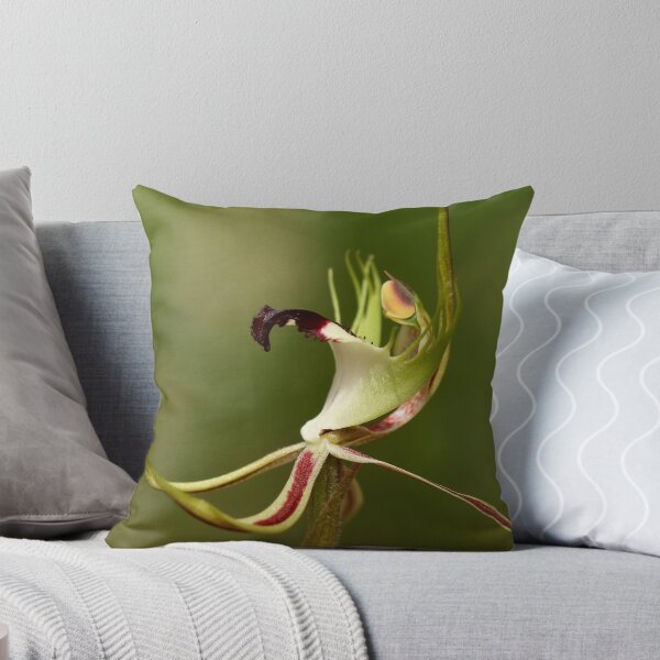Item preview, Spider Orchid - Detail designed and sold by LeeoPhotography.