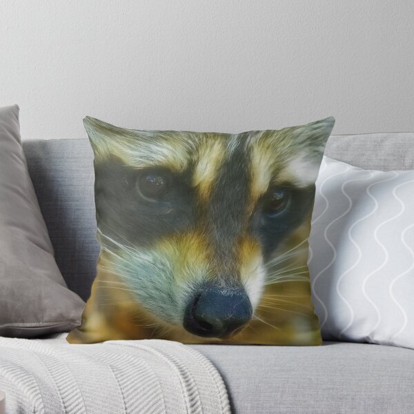 Item preview, Raccoon designed and sold by Mundy Hackett.
