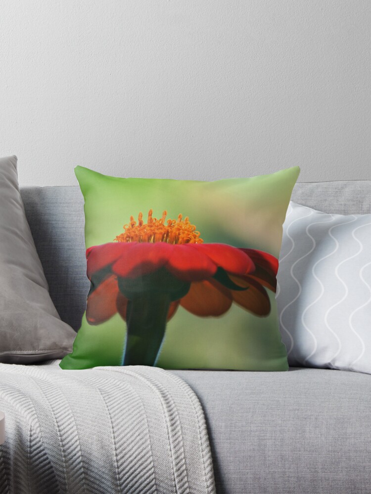 Thumbnail 1 of 4, Pillow, Softly Whisper designed and sold by idnurse41.