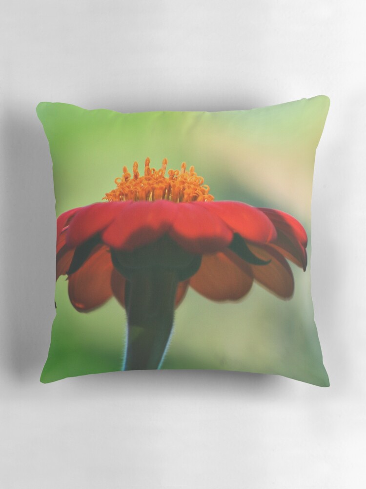 Thumbnail 3 of 4, Pillow, Softly Whisper designed and sold by idnurse41.