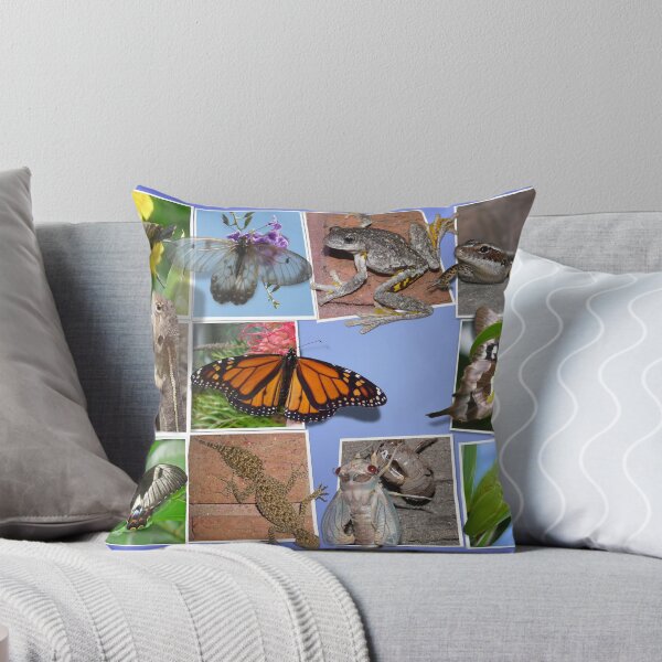 Item preview, Collage of Australian Native Wildlife designed and sold by peterstreet.