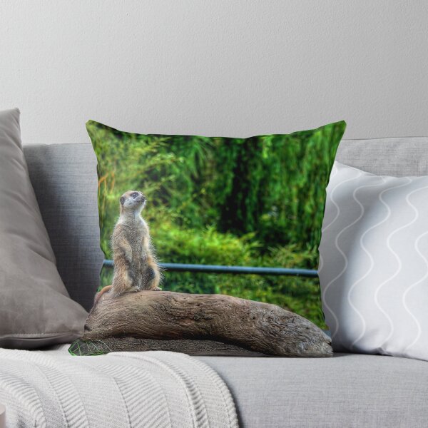 Item preview, Meerkat designed and sold by Eben Venter.
