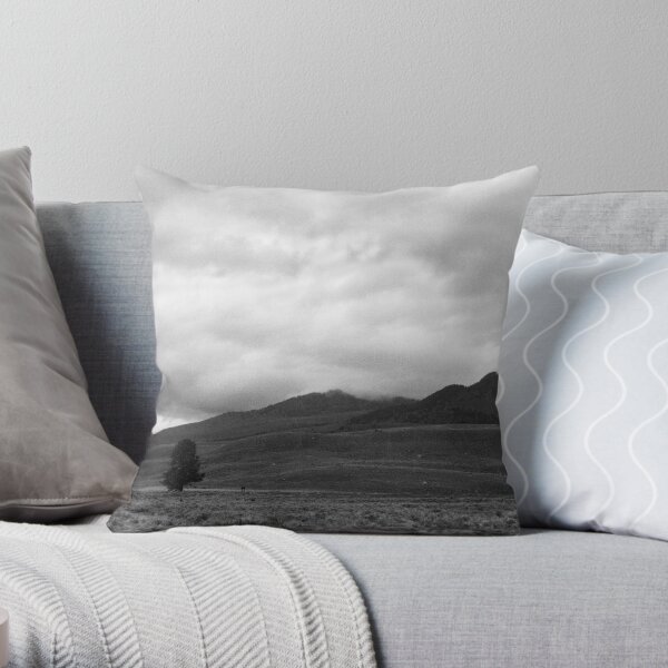 Mist and Mountains Throw Pillow