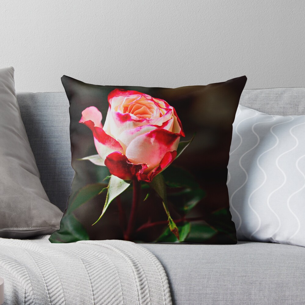 Bright & Vivid I Savor Her Softness Throw Pillow