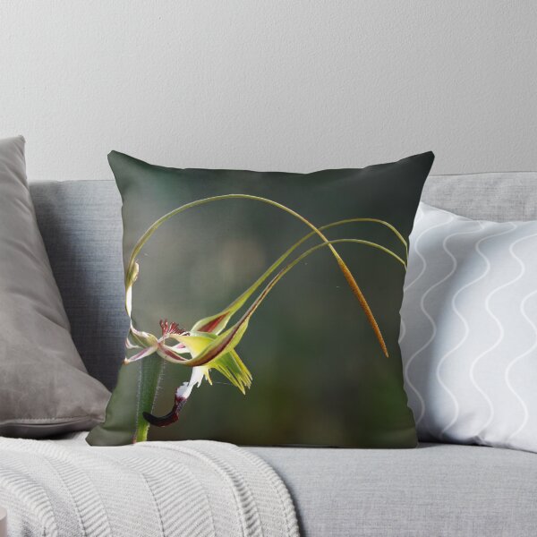 Item preview, King Spider Orchid - Flip Top Lid designed and sold by LeeoPhotography.