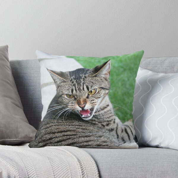 Artikelvorschau,  Tigger. Tigger hatte einen Run mit meiner "Alpha Kitty" Reese. Tigger ist wirklich eine süße Katze und er zischte mich nicht an.


! http: //images-1.redbubble.net/img/art/backingcolor: weiß / Produkt: Grußkarte / Ansicht: Vorschau / 1895952-2-make-my entworfen und verkauft von MDossat.