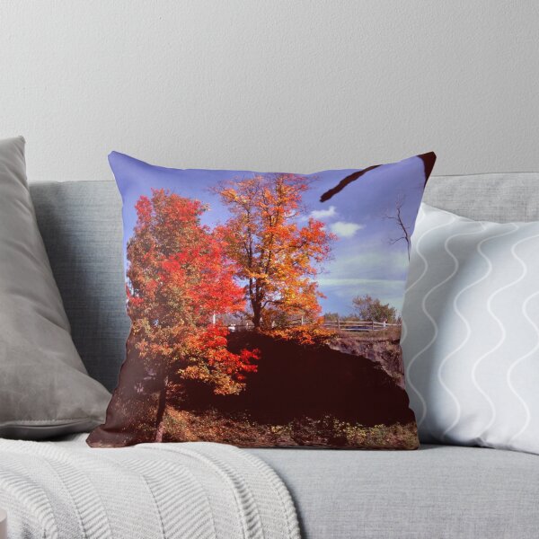 Item preview, 102408-1  HANGIN' ON designed and sold by MICKSPIXPHOTOS.