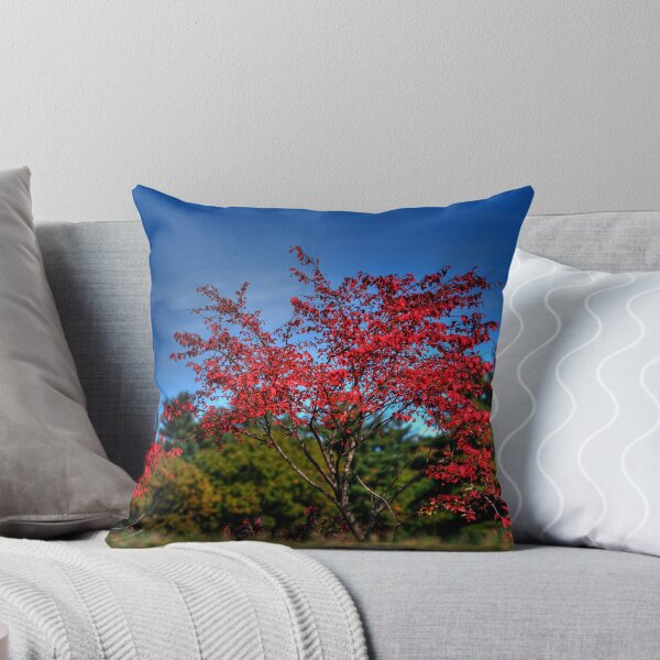 Item preview, Burning Bush designed and sold by Scott Englund.