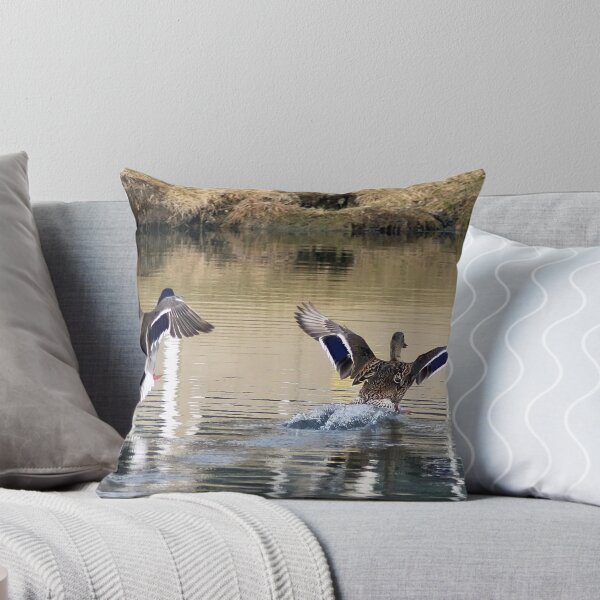 Item preview,  ILLINOIS.

! http: //images-0.redbubble.net/img/art/mattecolor: black / product: matted-print / view: preview / 1907521-2-the-landing.jpg!

! http: //images-2.redbubble.net/img/art/border: blackwithdetail / product: laminated-print / size: small / vi designed and sold by cdudak.