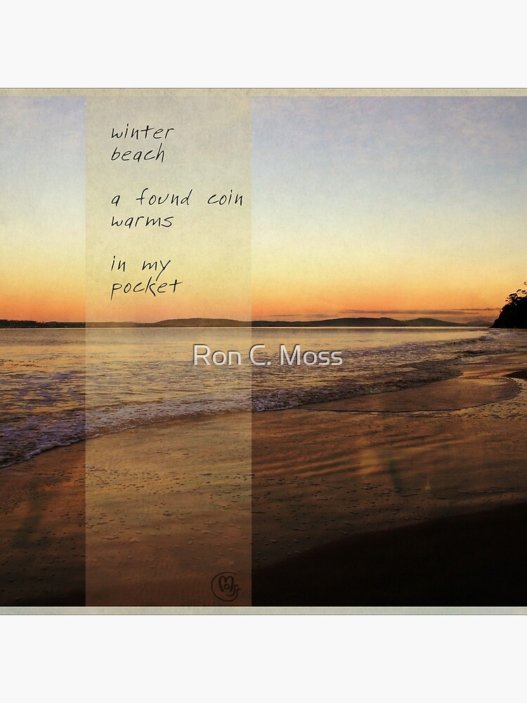 winter beach by ronmoss