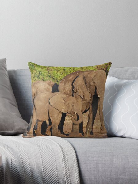 Vista previa del artículo con la obra «The Elephant Family, Chobe National Park, Botswana», diseñado y vendido por Adrian Paul.
