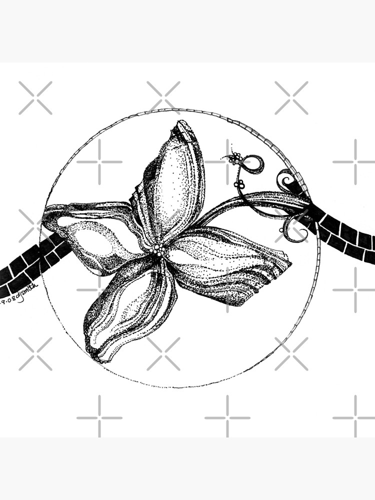 Serene, Ink Drawing by djsmith70
