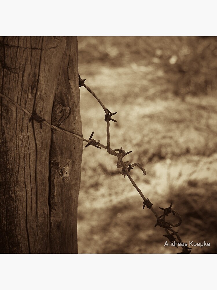 Old barbed wire - sepia by mistered