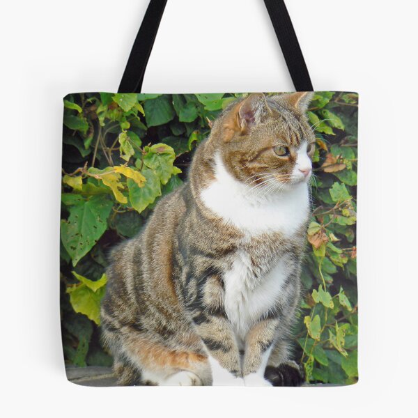 Item preview, Cat designed and sold by AARDVARK.