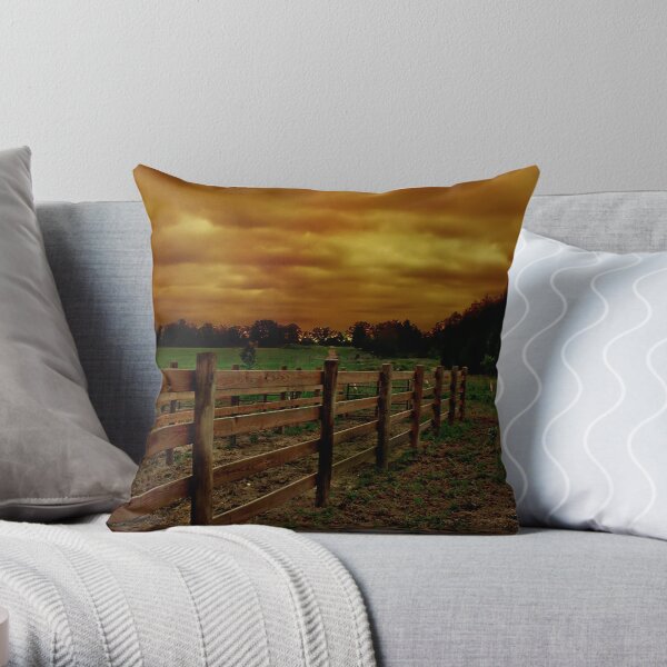 Across The Field 1 Throw Pillow