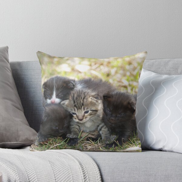 Artikelvorschau, Kitten Pile entworfen und verkauft von Wendy Butler.