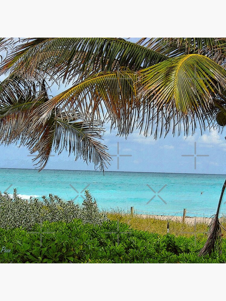 Tropical View by photorolandi