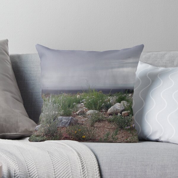 Storm in the Great Basin Desert Throw Pillow