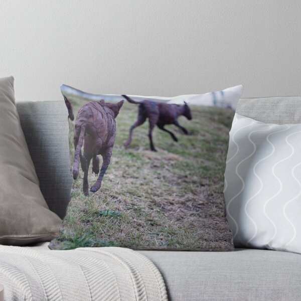Item preview, Running with the pack designed and sold by AquaMarina.