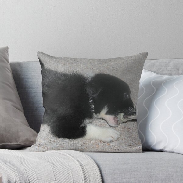 Item preview, Chew time designed and sold by Maximus.