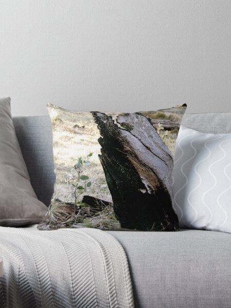 Item preview, starting anew designed and sold by jayview.