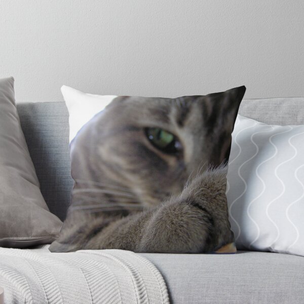 Item preview, Catscape.... designed and sold by Luc85.