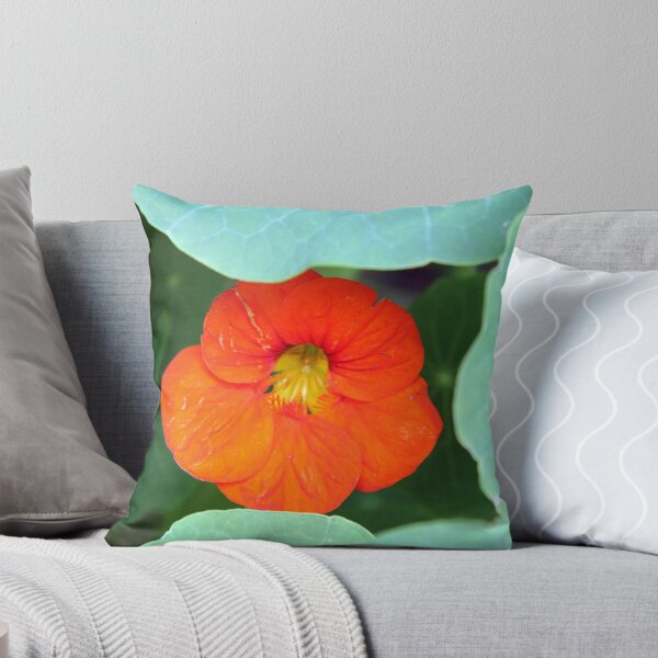 Item preview, Peeping Out! designed and sold by Lesley  Hill.