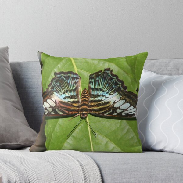Item preview, True Beauty designed and sold by Kasey Cline.