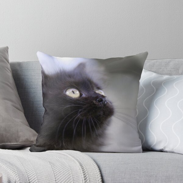 Item preview, Focus designed and sold by Vikram Franklin.