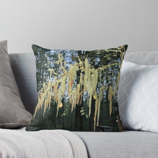 Item preview, "The Forest After The Sun Sets" designed and sold by Lynn Bawden.