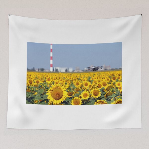 Item preview, The drone is flying over the sunflower field landscape designed and sold by goceris.