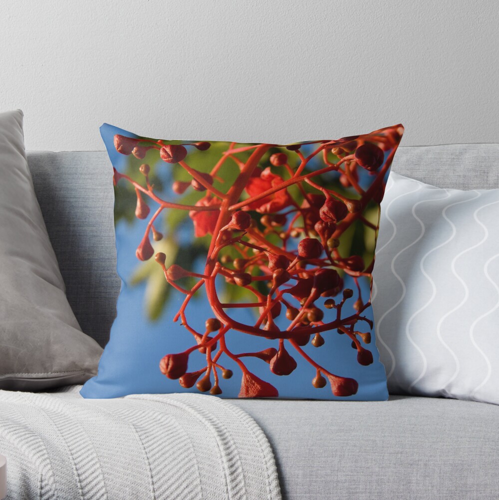 Brachychiton Acerifolius - Flame Tree Throw Pillow