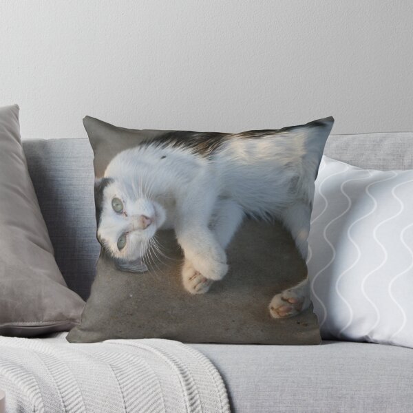 Item preview, Percy designed and sold by Cheyenne.