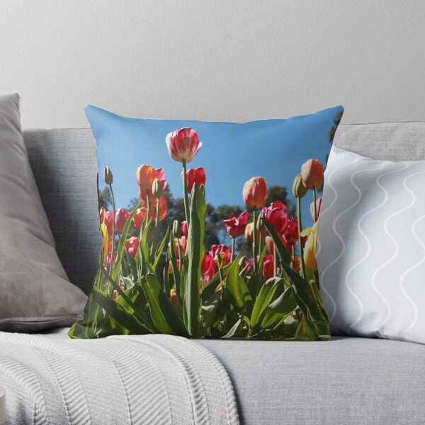 Tulips at Araluen Throw Pillow