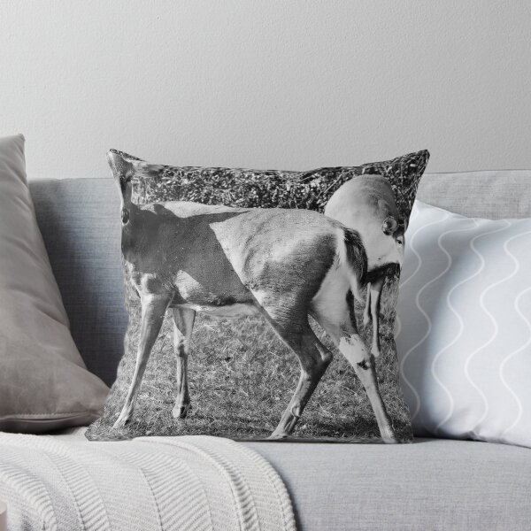 Item preview, deer designed and sold by Kim Stelfox.