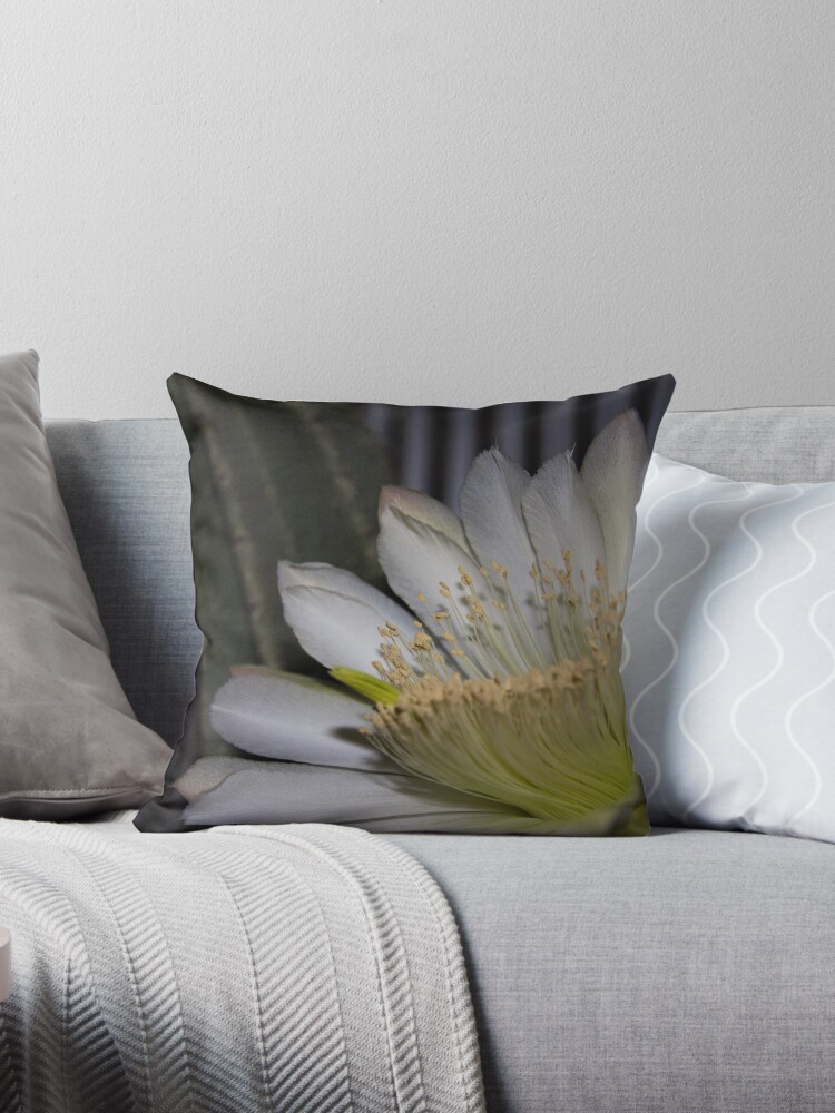 Thumbnail 1 of 3, Throw Pillow, Cactus flower designed and sold by Andreas Koepke.