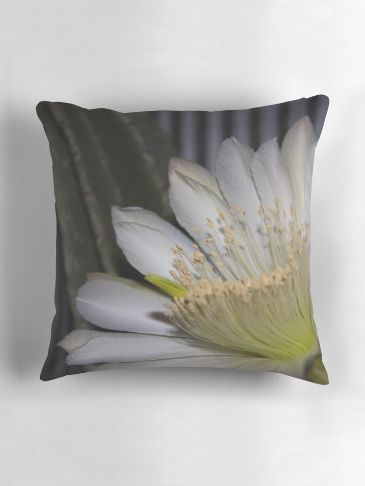 Thumbnail 3 of 4, Pillow, Cactus flower designed and sold by mistered.