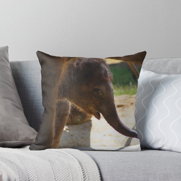 Item preview, Asian baby elephant designed and sold by jdmphotography.