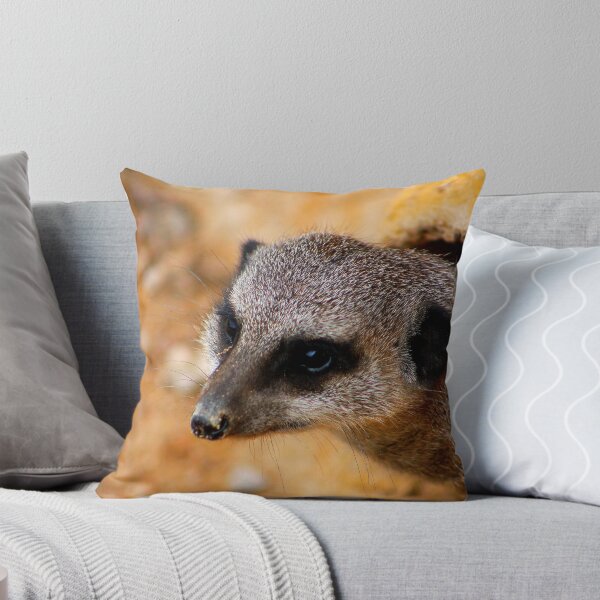 Item preview, Is it safe ? designed and sold by jdmphotography.