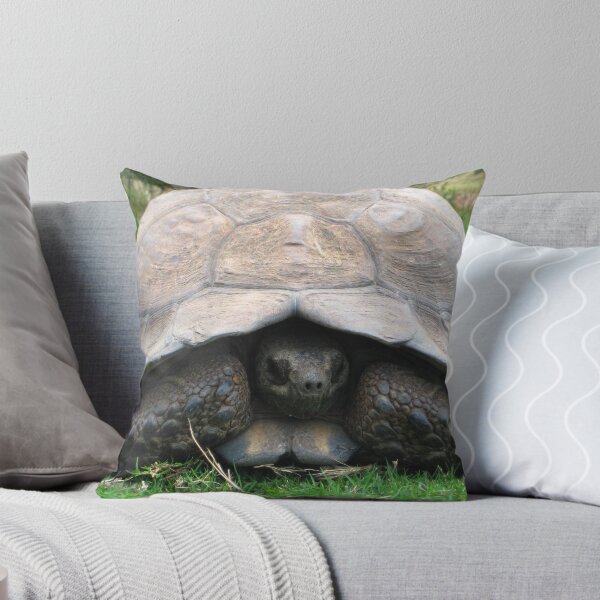 Item preview, African Giant Tortoise designed and sold by Dan Broome Photography.