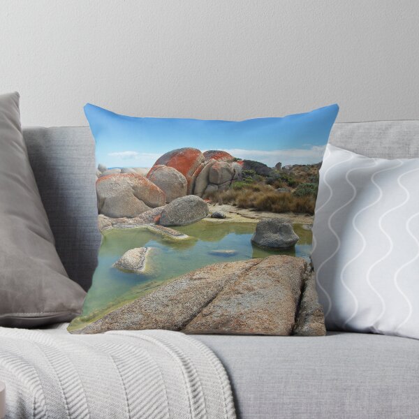 Rock pool #2 Throw Pillow